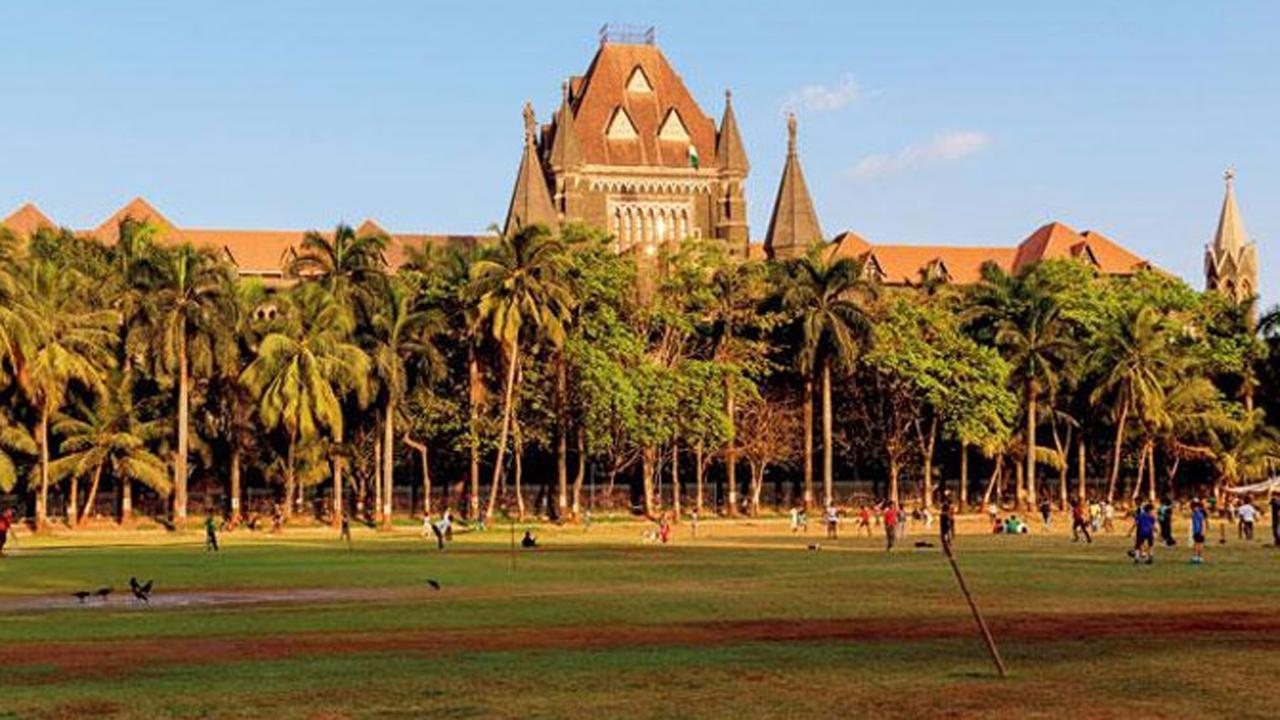 Bombay High Court upholds bail to alleged ISIS member Areeb Majeed