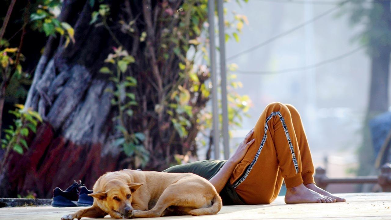 Mumbai Diary: Wednesday Dossier