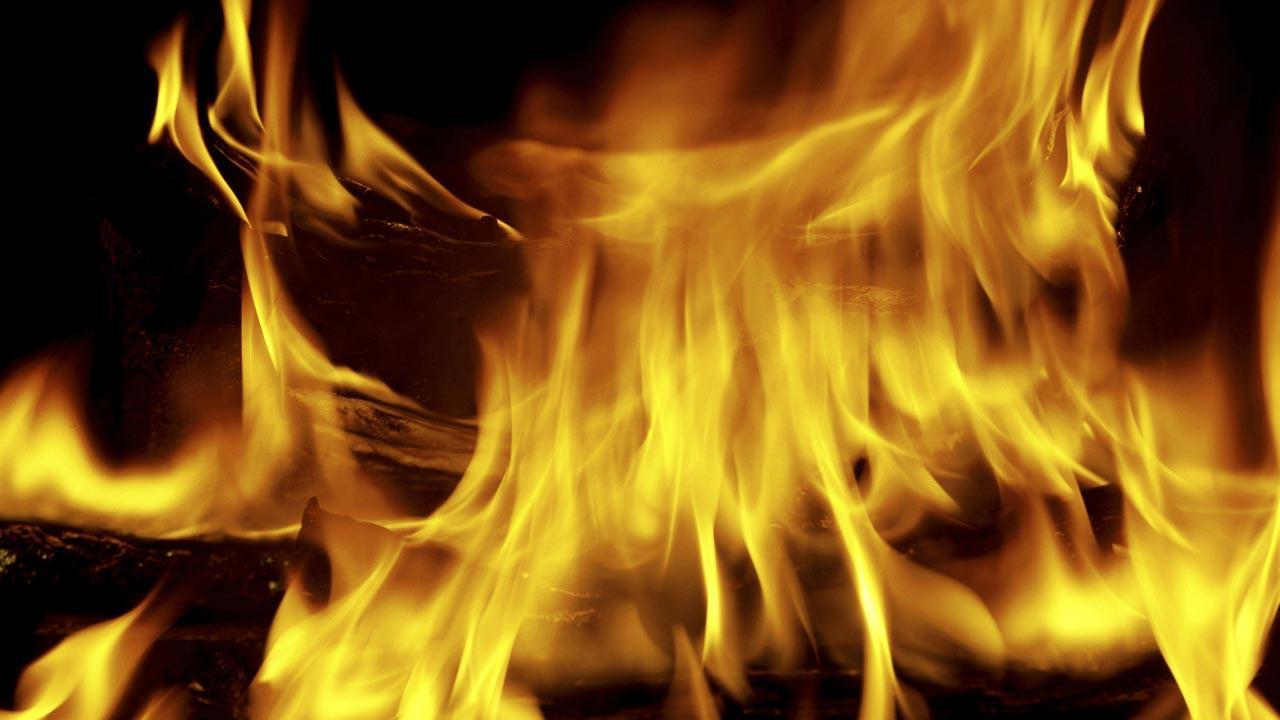 Mumbai: Man held for causing fire at MSEDCL office in Thane