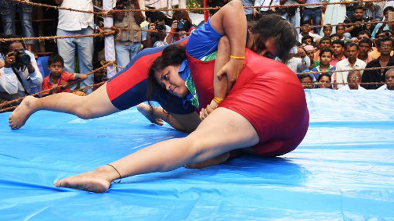 SUVs for Indian cricketers but medal-winning female wrestlers have to split one buffalo photo