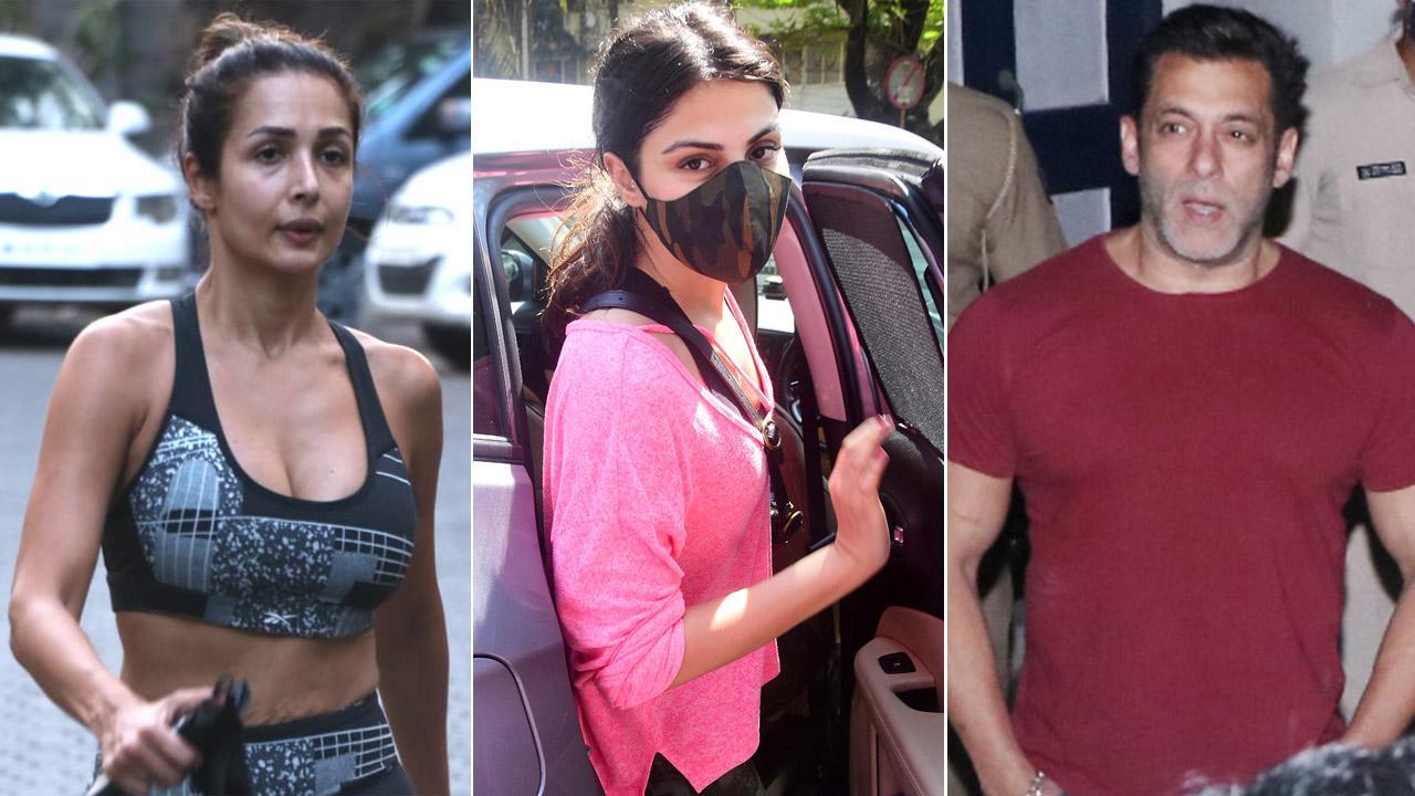 Malaika Arora, Rhea Chakraborty, Salman Khan (Photo courtesy/Yogen Shah)