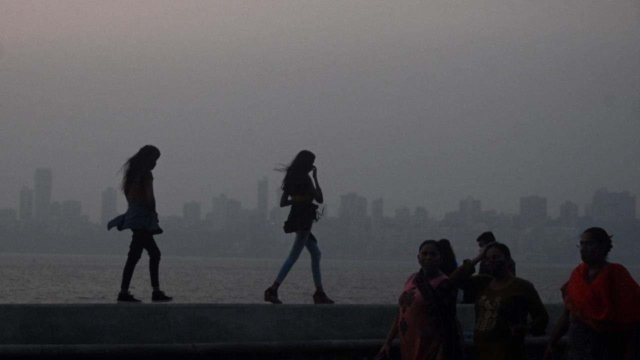 India records warmest January in 62 years: Weather Department
