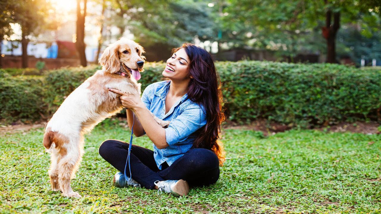 5 apps that every pet parent must have
