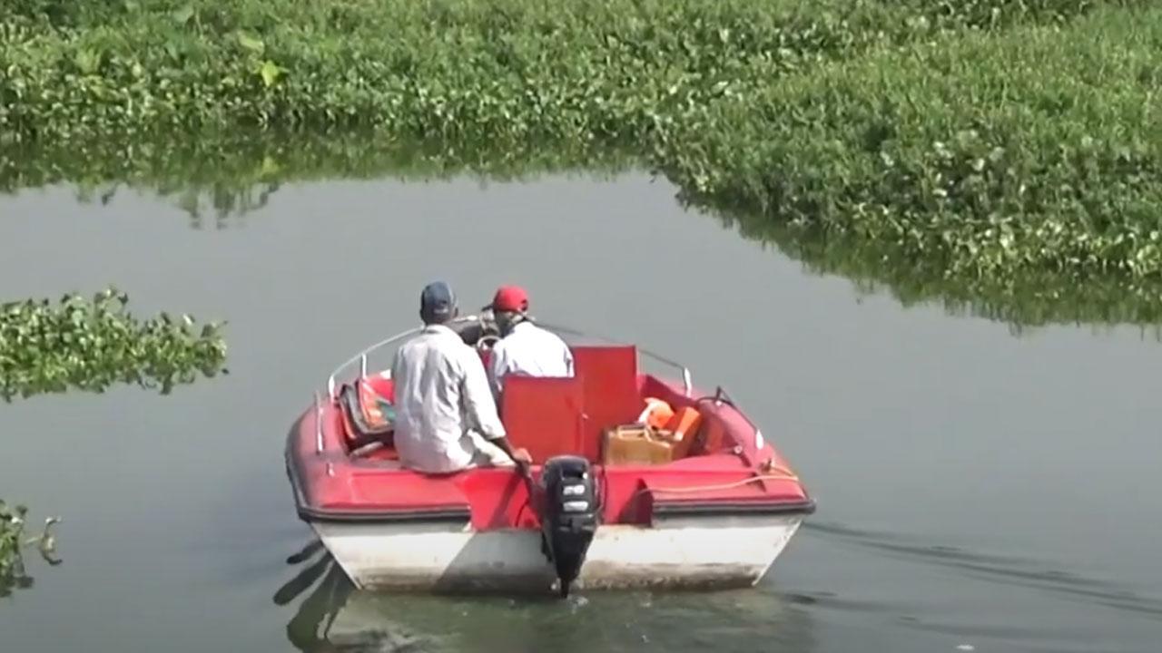 Mumbaikars may soon be able to go on crocodile safaris at Powai Lake