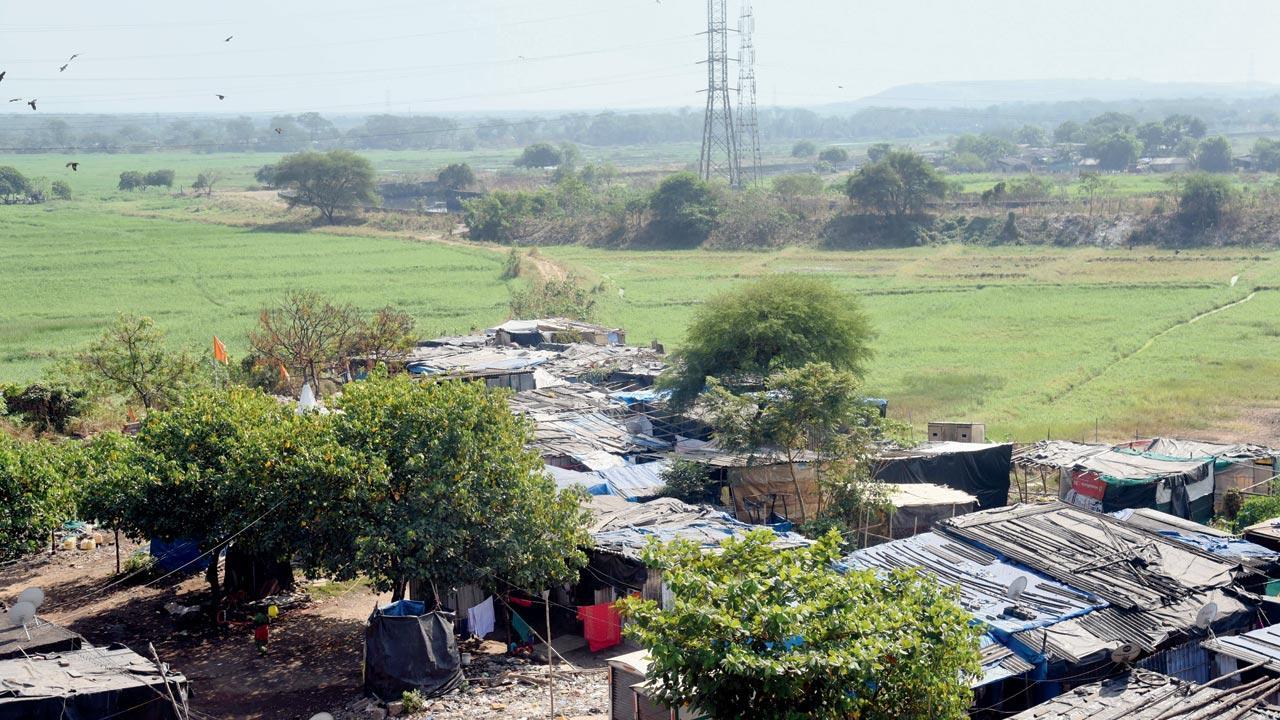 Act against illegal structures on salt pan land: Maharashtra government to officials