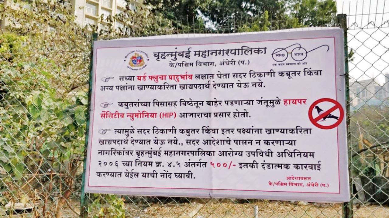 3 booked for feeding pigeons: It's our constitutional right, say animal lovers