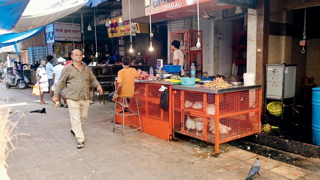 Bird Flu Reaches Mumbai Thane Elsewhere In Maharashtra
