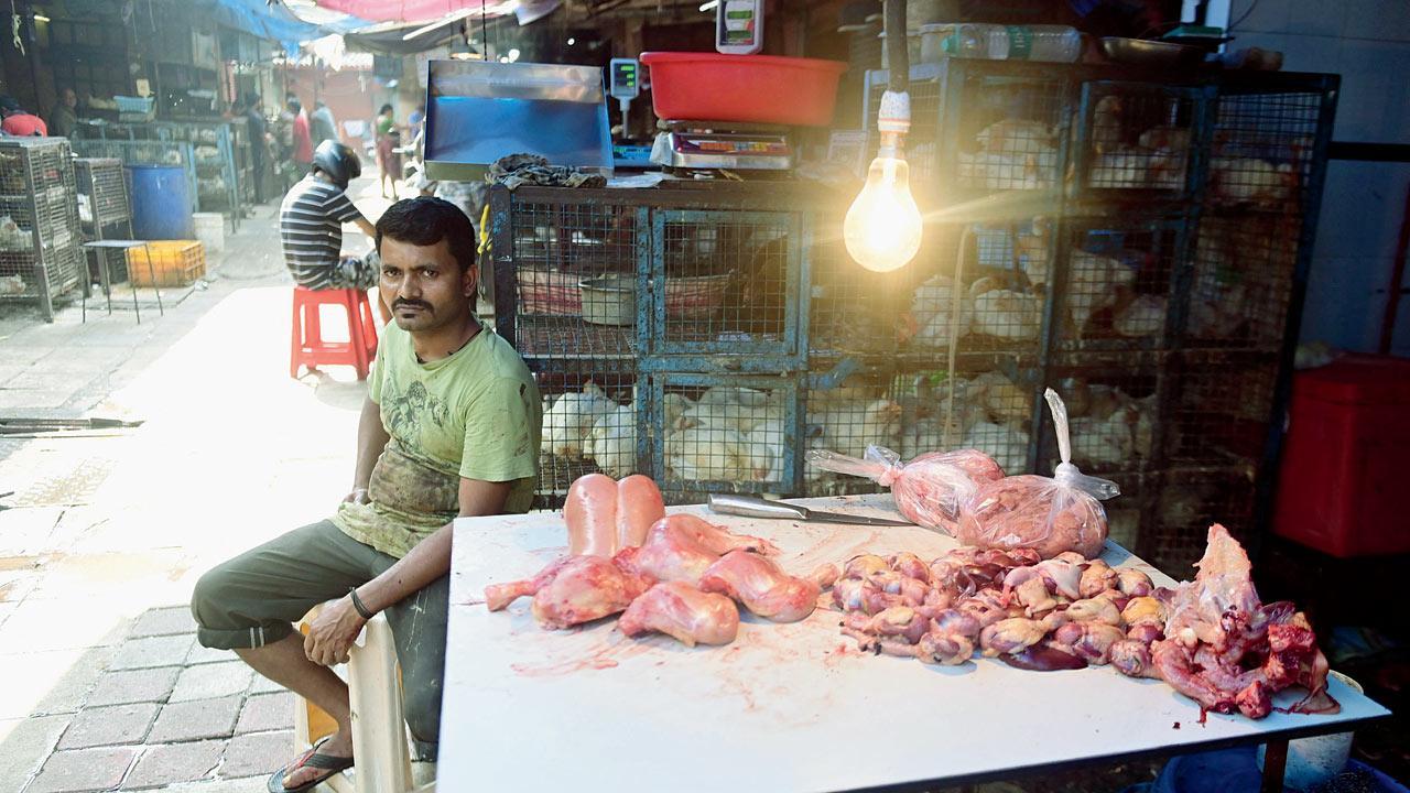 Mumbai: On Day 2, BMC receives 356 panic calls over bird flu