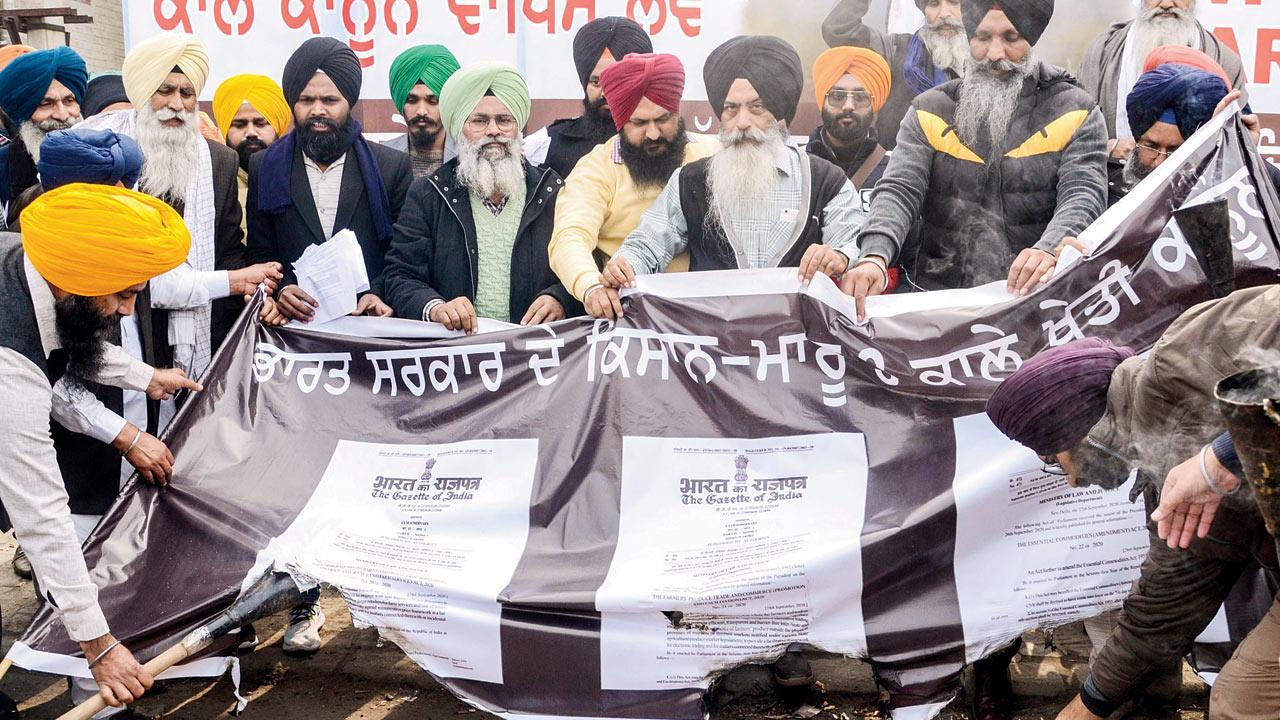 On Lohri, Punjab farmers burn copies of farm laws in protest
