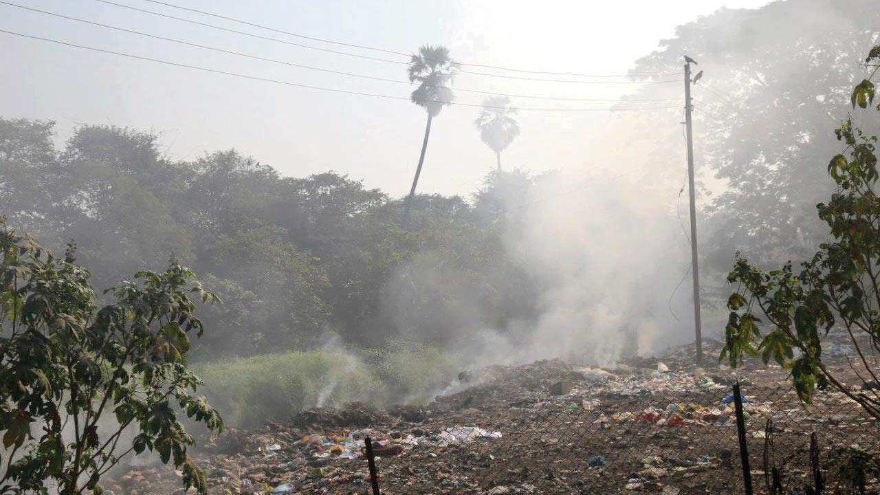 Stop! Garbage burning could be killing you!