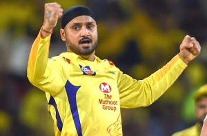 IPL players retention: Chennai Super Kings release Harbhajan Singh, Kedar Jadhav