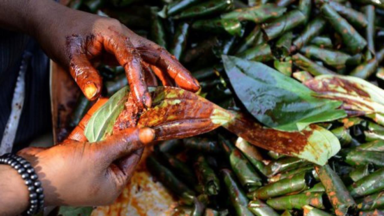 'New law puts paan, bidi sellers in same crime list category as acid throwers'