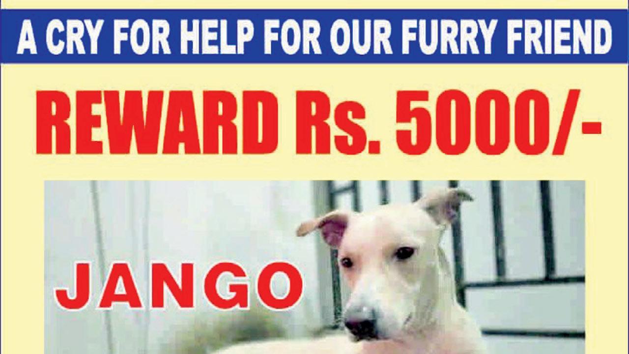 Mumbai: Can you help this Parel resident find their pet?