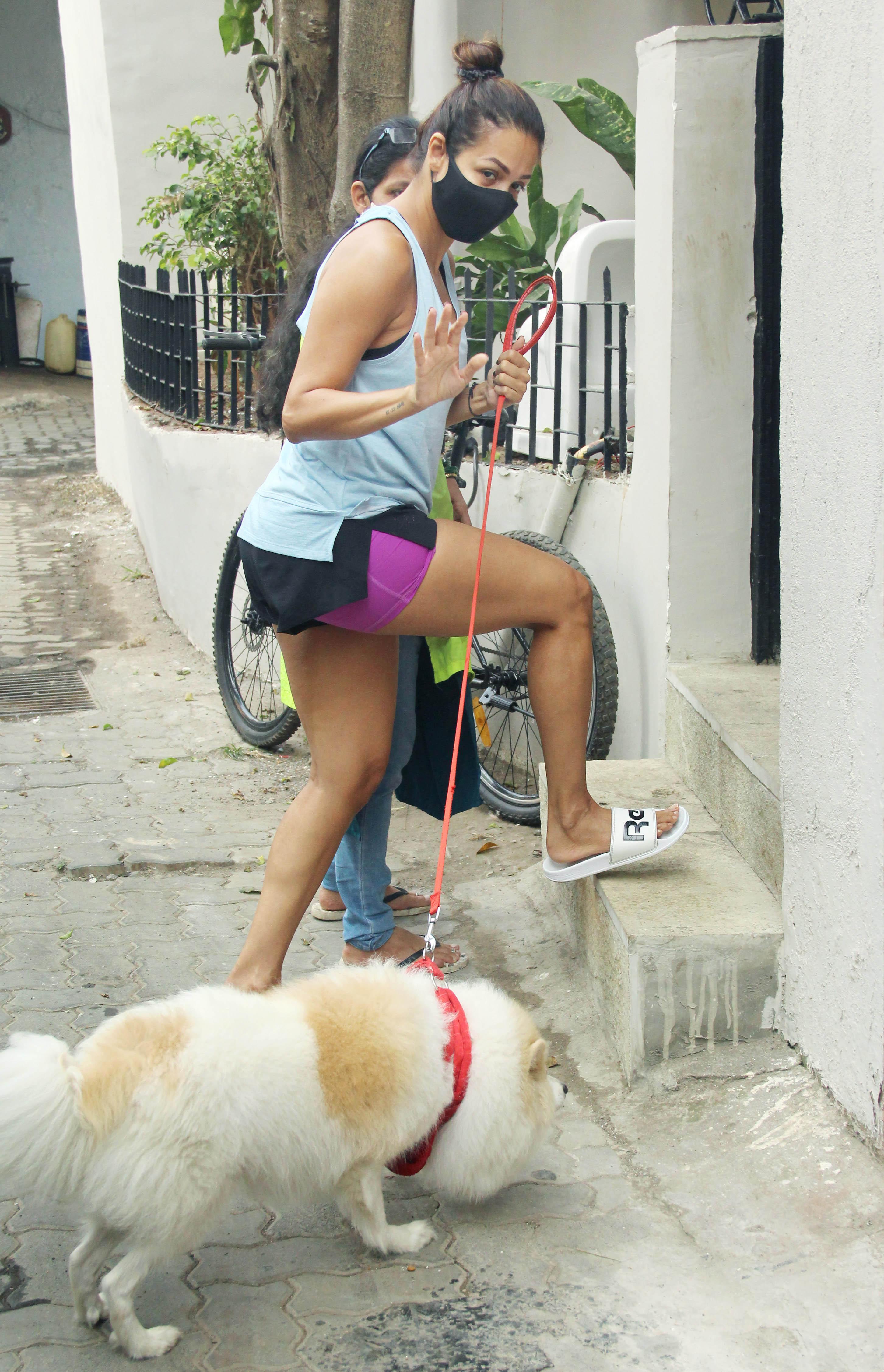 Last week, Malaika Arora wished her fans a happy Sunday and treated fans to a glamorous pool picture as she sends out wishes for the new year.
In picture: Malaika Arora with her dog Casper in Bandra