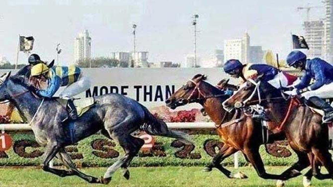 New Year brings ill luck for jockeys