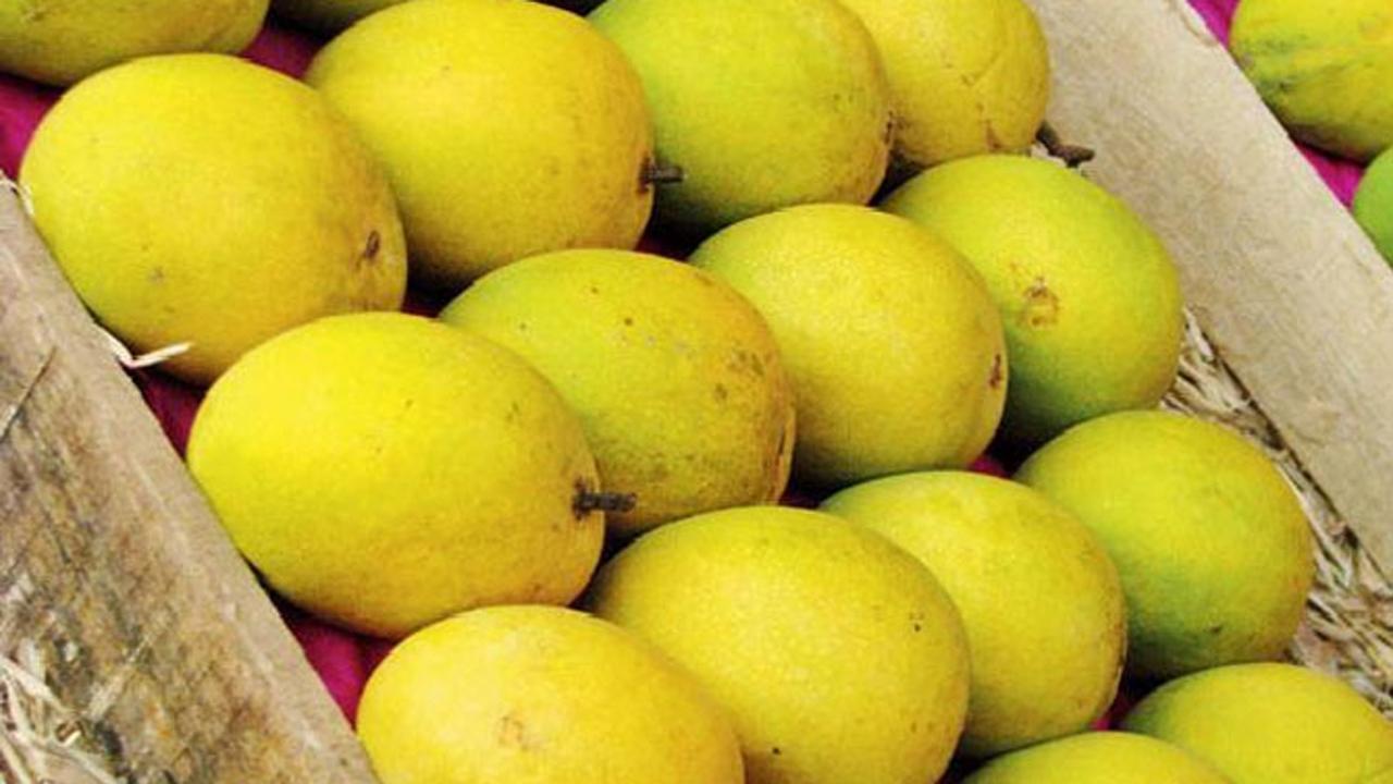 Uttar Pradesh farmer develops new variety of guava in mango belt