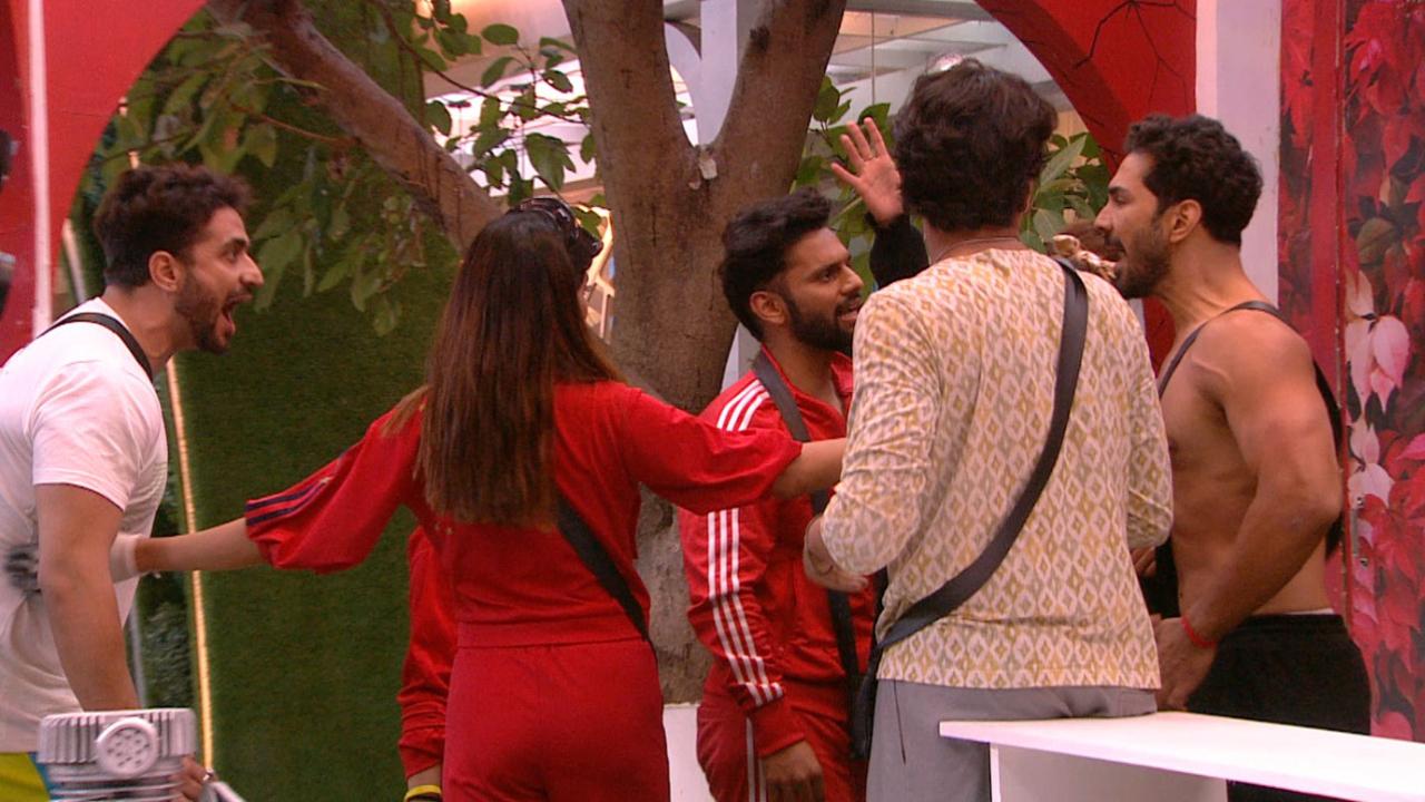 With the Bigg Boss finale fast approaching, the temperature inside the house has heated up. We now get to see more fights, more romance, and more drama. Here's what happened in the seventeenth week of Bigg Boss 14. (All images: PR)