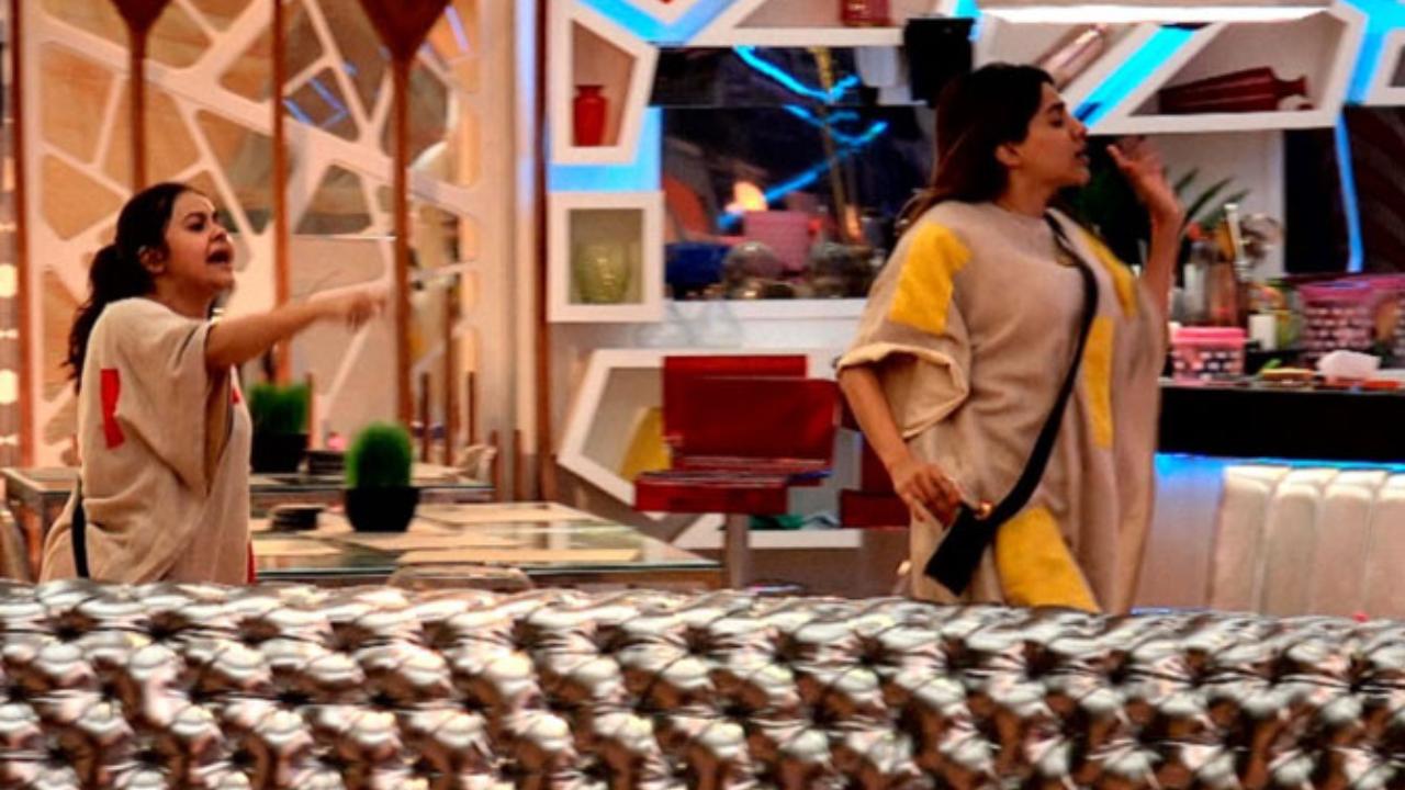 Devoleena was irritated and upset about this and screamed at Nikki for putting the entire house's rations at risk. An unfazed Nikki shouted back at Devoleena and said that she didn't care about it. In fact, she acted extremely casual and spent time inside the house while the others were locked outside. Her own teammate Aly was unhappy with her actions. Nikki even teased Devoleena, which further infuriated her. Their on-going feud didn't seem to end quickly. The two, who were once friends, now entered into a ferocious fighting match and were at each other’s throats.