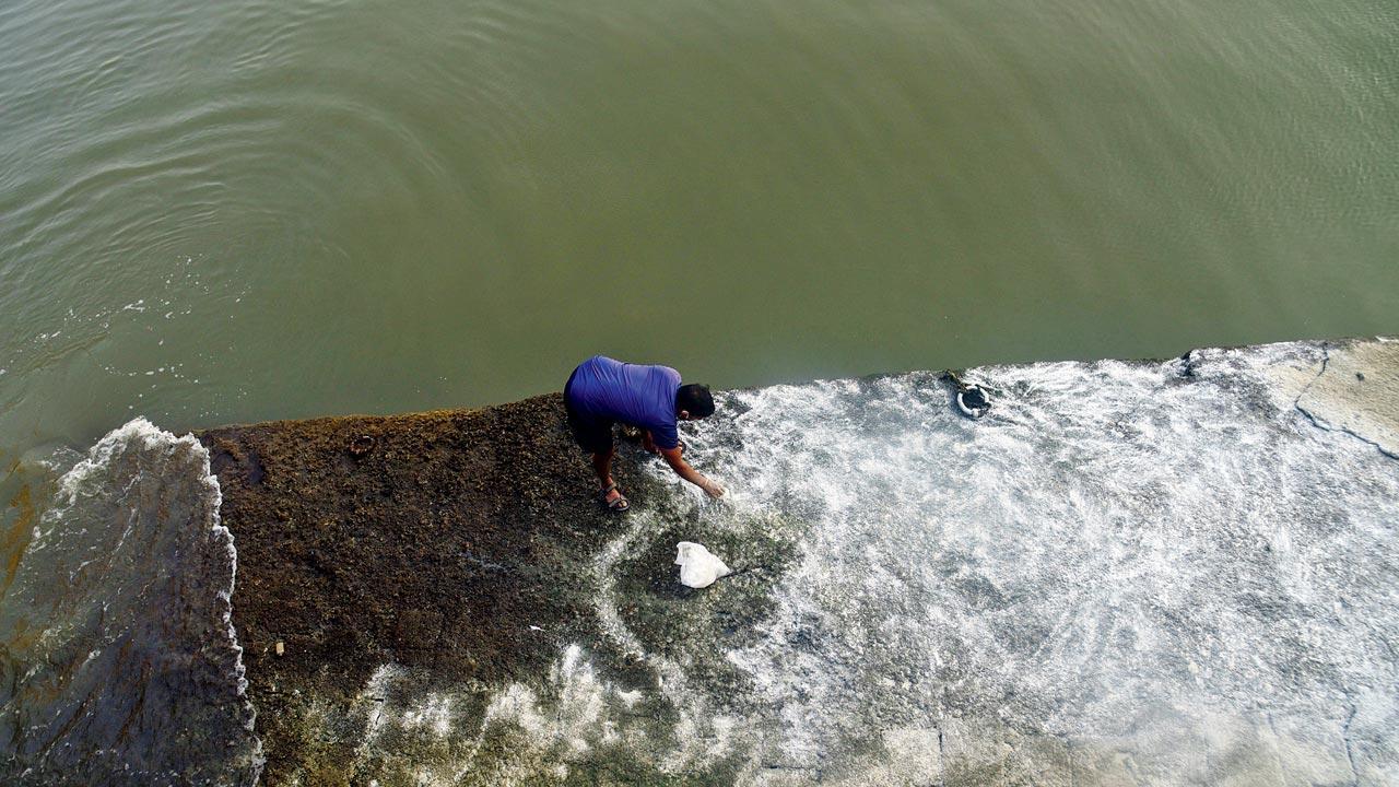 Mumbai Diary: Friday Dossier