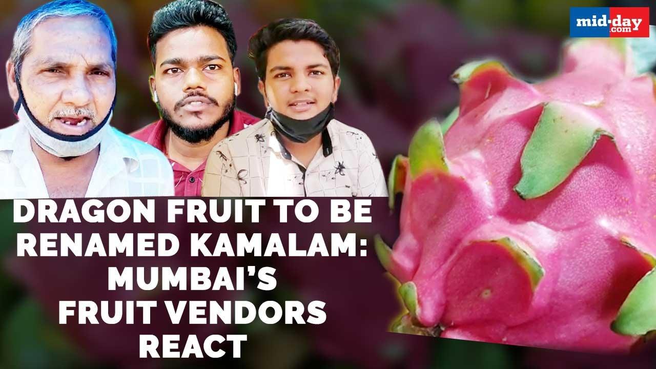 Dragon fruit to be renamed Kamalam: Mumbai’s fruit vendors react