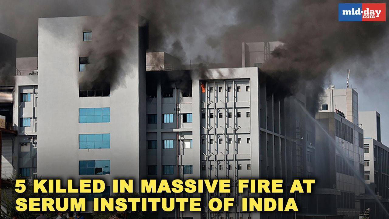 5 killed in massive fire at Serum Institute of India in Pune