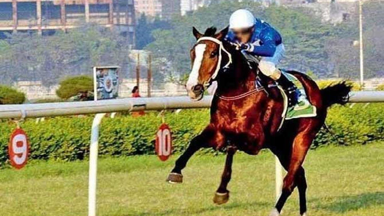 Horse racing: Forest Flame bags Indian 1000 Guineas