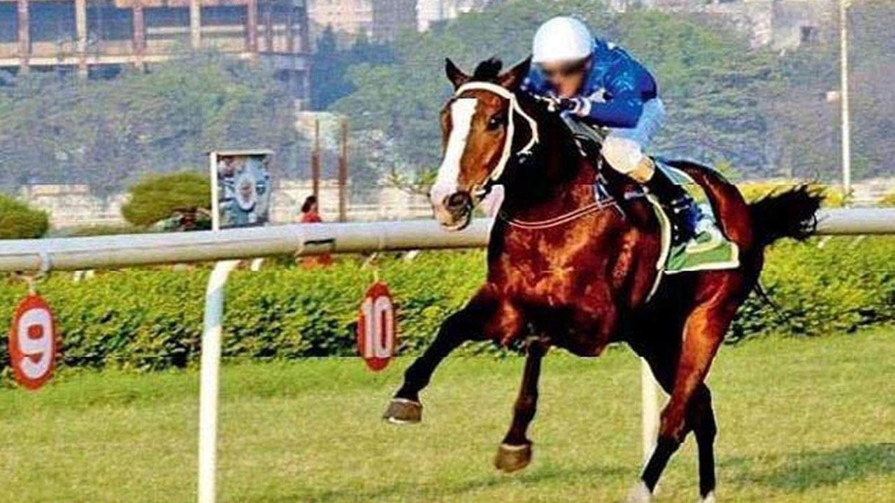 Racing to resume at Mahalaxmi racecourse