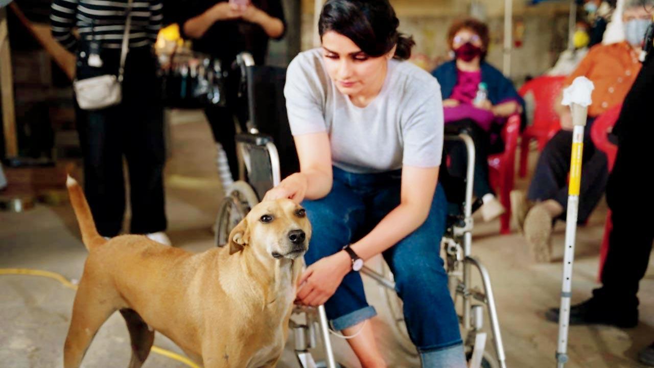 Injured Prachi Desai needs two-week break