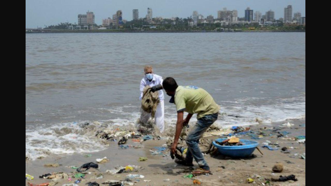 Zero Waste Europe states that there are at least 1 million plastic bags being used around the world every minute and almost 80 per cent of it ends up polluting the waters. In Mumbai, after the regular cleanup at Versova beach, many others have conducted beach cleanups at Dadar, Mahim, Juhu and Vasai too. Photo: AFP