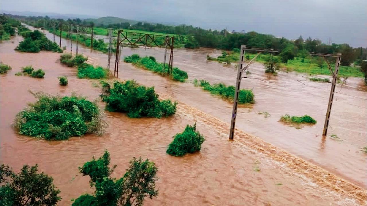 Maharashtra: NDRF rescues 2 wiremen stranded on power line above flooded river