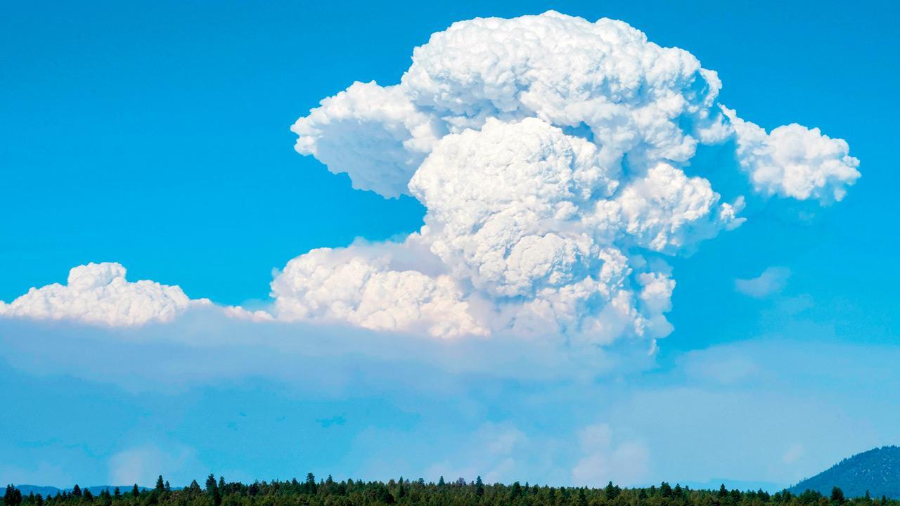 Largest wildfire in Oregon grows with only 7 per cent containment