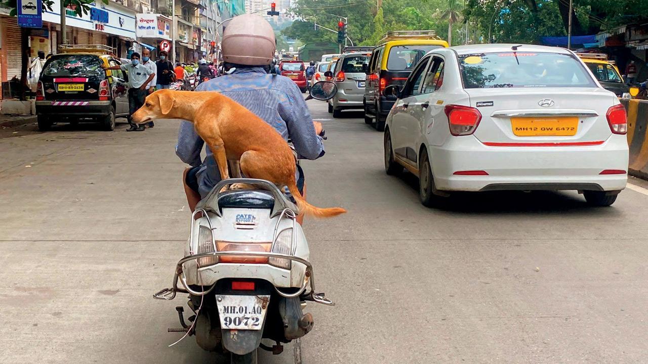 Mumbai Diary: Monday Dossier