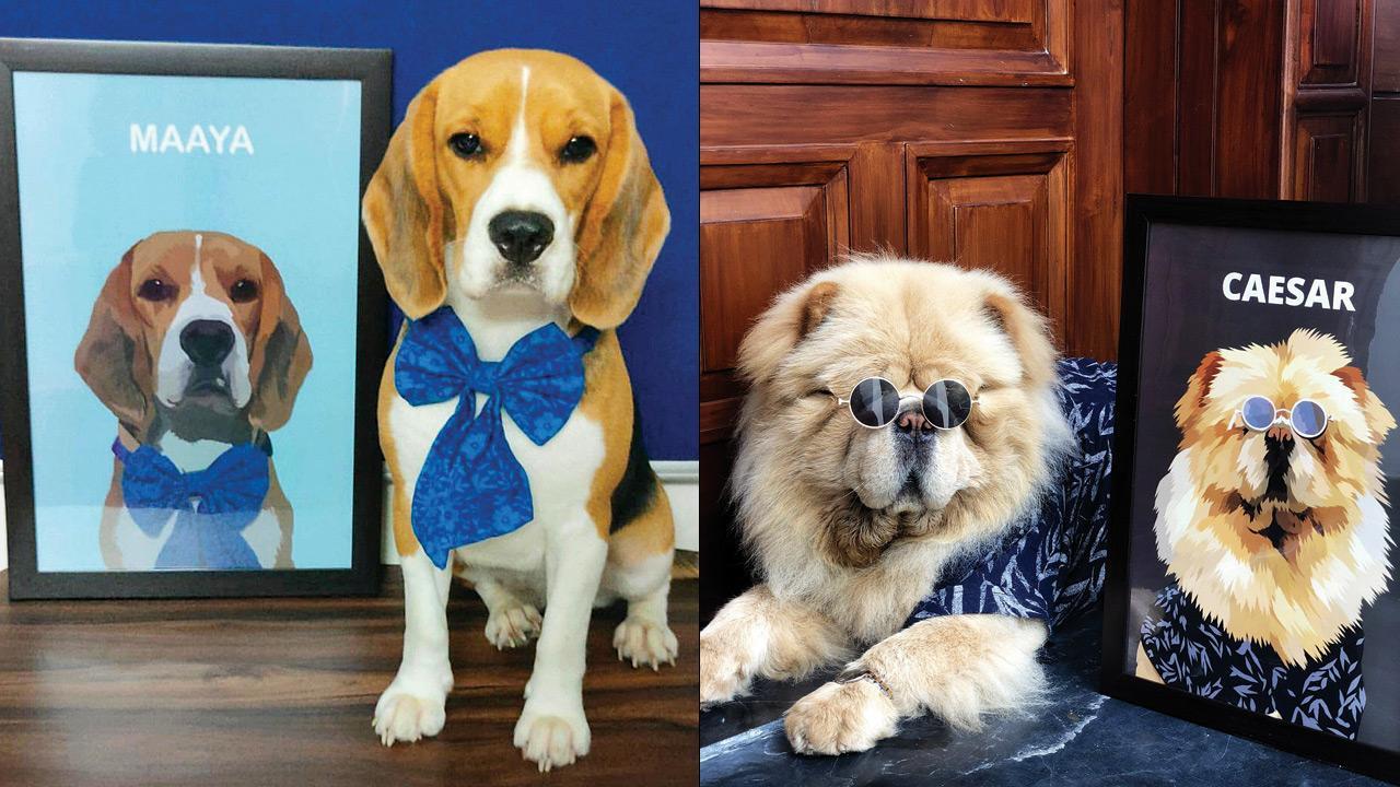 Get drawn to your pet