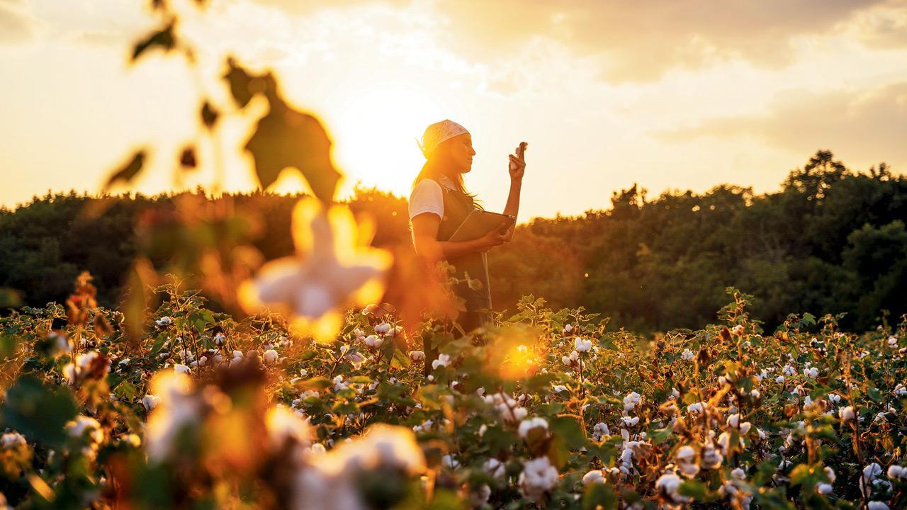 Mahyco, Monsanto officials were put under surveillance