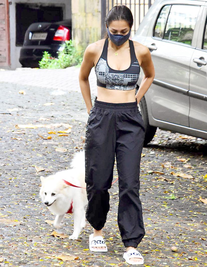 Earlier in the day, Malaika Arora was spotted near her residence out for a walk with her pet Casper. The fitness diva sported a printed sports bra and black track pant as she was clicked by the paparazzi.