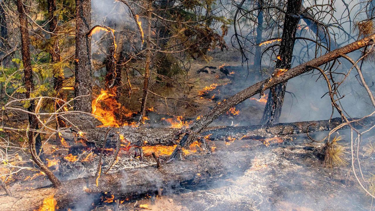 Wildfires rage across California, Oregon