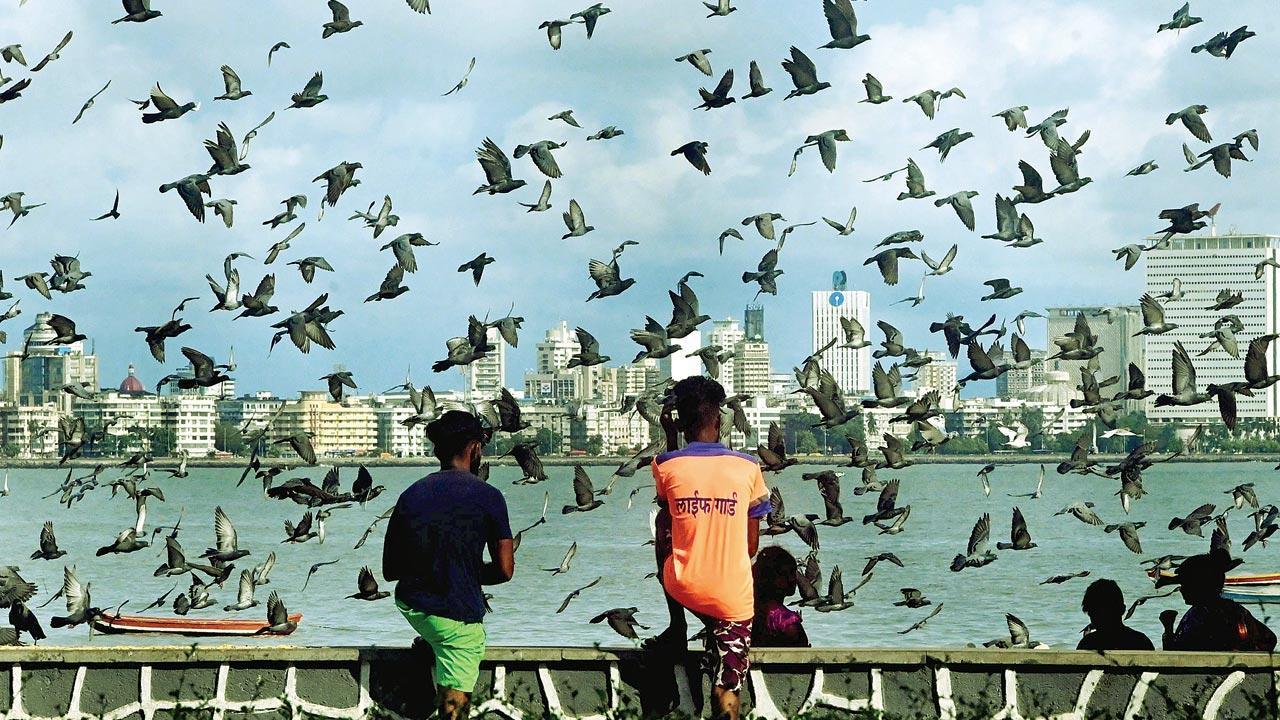 Mumbai Diary: Wednesday Dossier