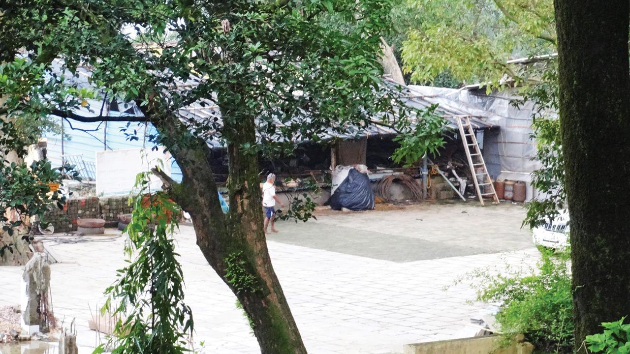 Razed ashram being rebuilt in wildlife sanctuary: Mumbai activist