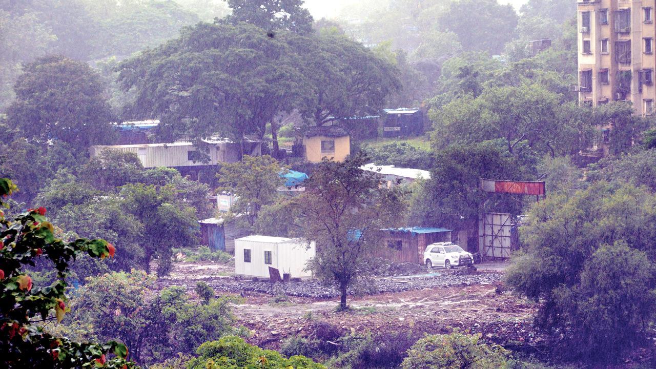High-rises being built in eco-sensitive zone near Sanjay Gandhi National Park: Environmentalist
