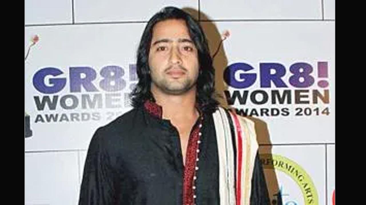 Shaheer Sheikh learnt many lessons from on-screen avatar Dev in new show