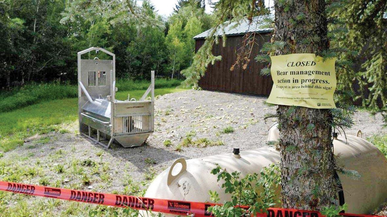 Grizzly bear killed after fatal attack on US camper