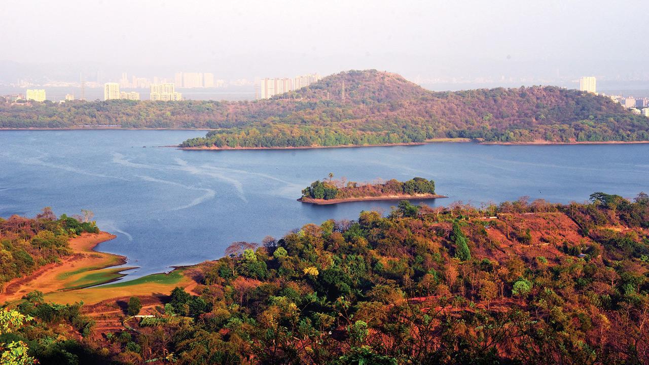 Mumbai's lakes filled up to 63 per cent