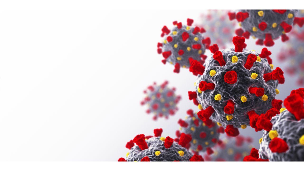 Delta variant accounts for 80 per cent of new Covid-19 cases: Govt expert panel chief