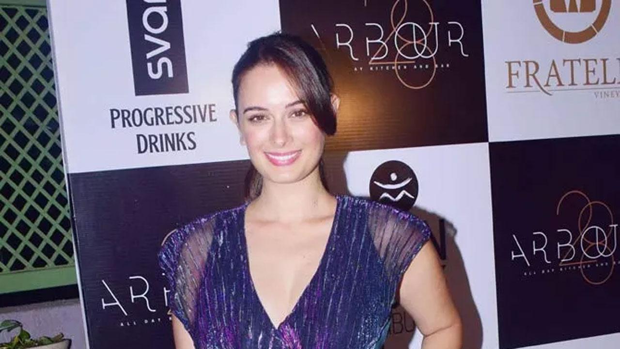 Evelyn Sharma announces pregnancy, shares post with fans