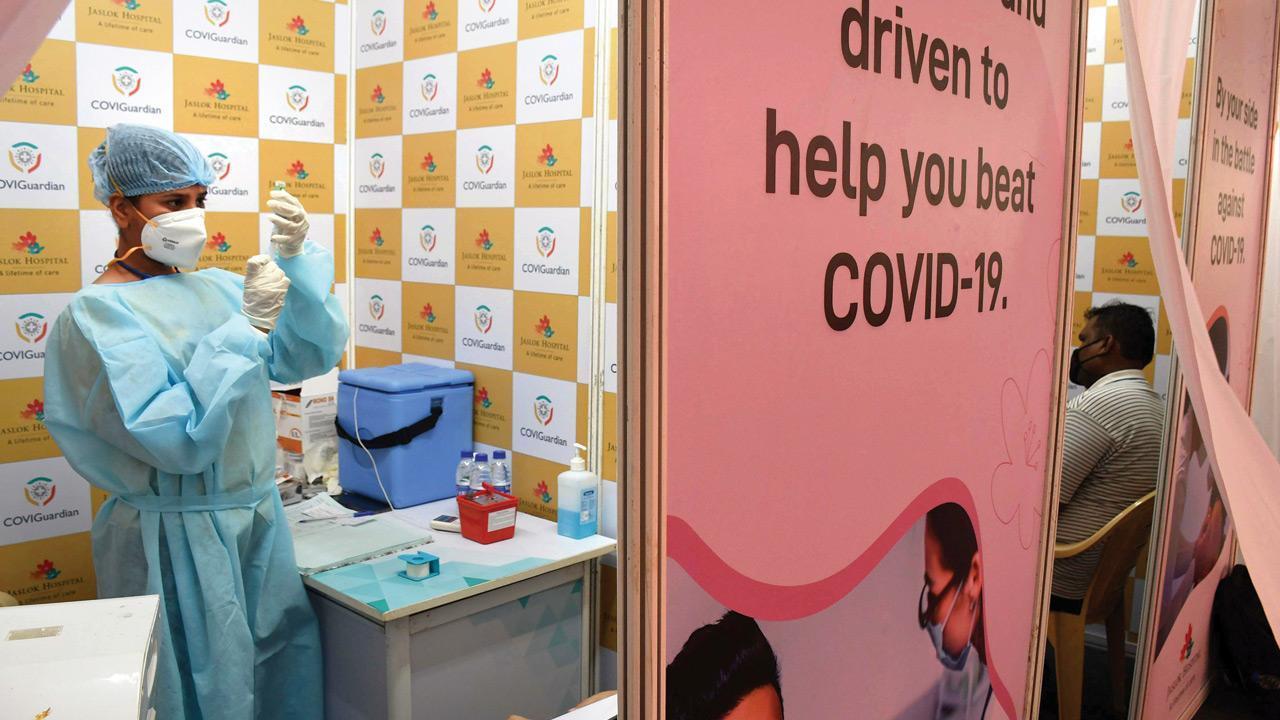 Covid-19: Bombay HC asks Centre to approve BMC's plan to re-vaccinate victims of fake inoculation camps