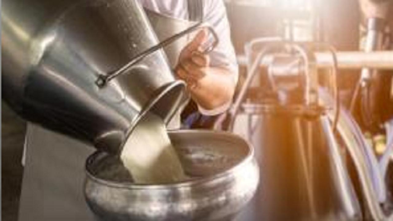 No milk supply to Mumbai on Saturday due to flooding: Gokul