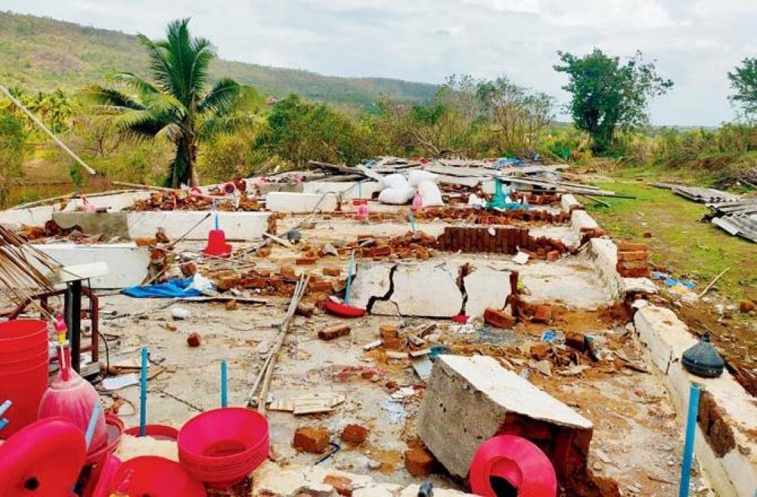 Poultry farmers in Raigad left high and dry after cyclone