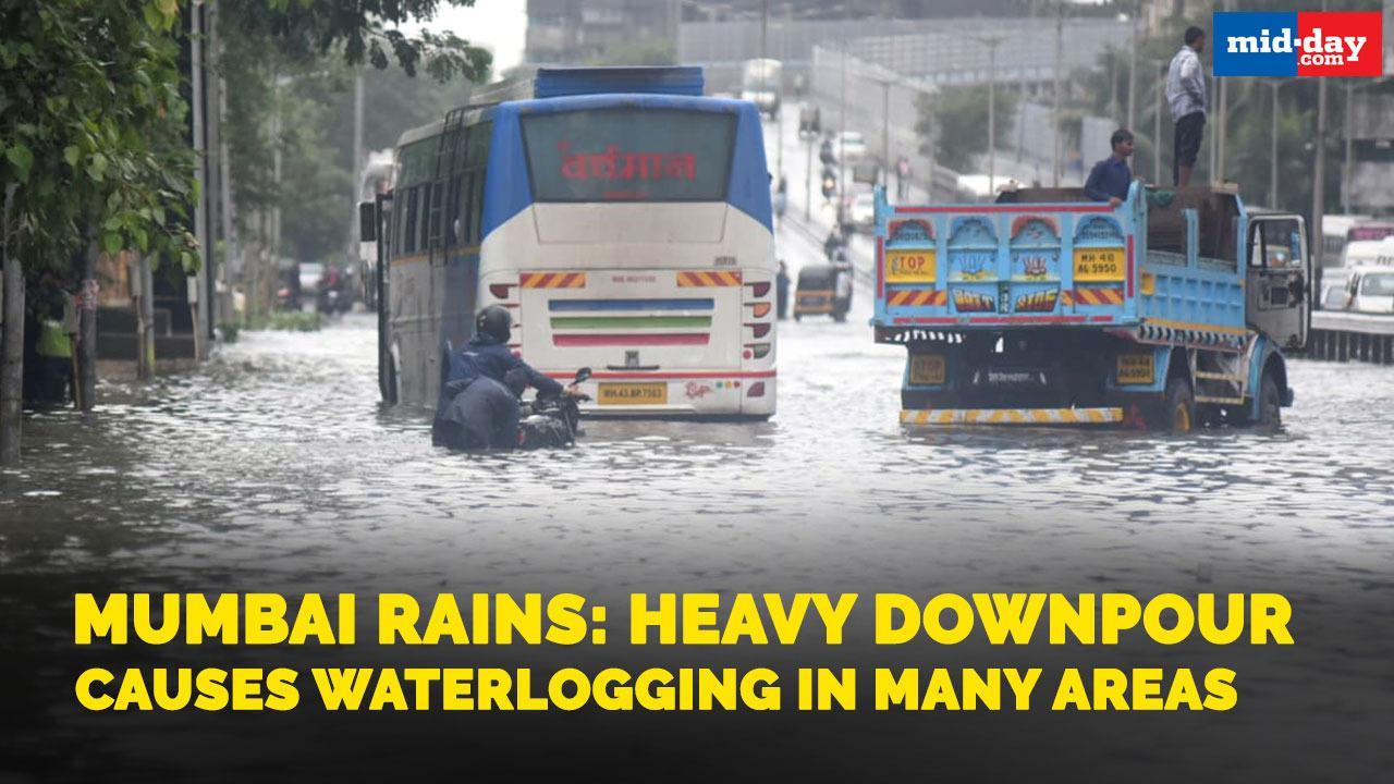 Mumbai Rains: Heavy downpour causes waterlogging in many areas