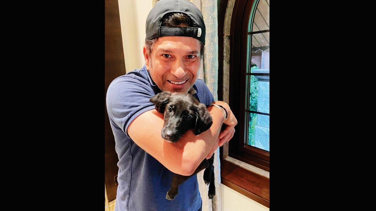 Sachin Tendulkar’s new ‘Paw’tner Spike makes social media debut