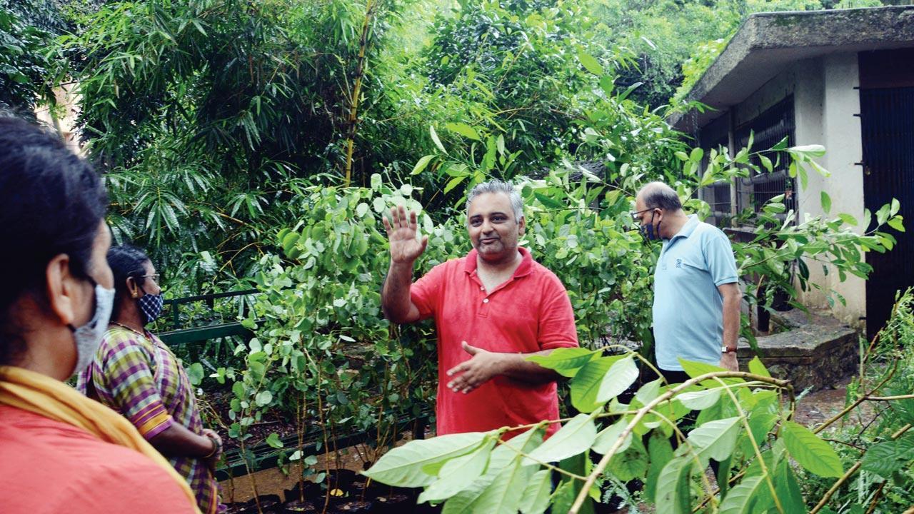 Signs of green shoots in SGNP’s plantation drive